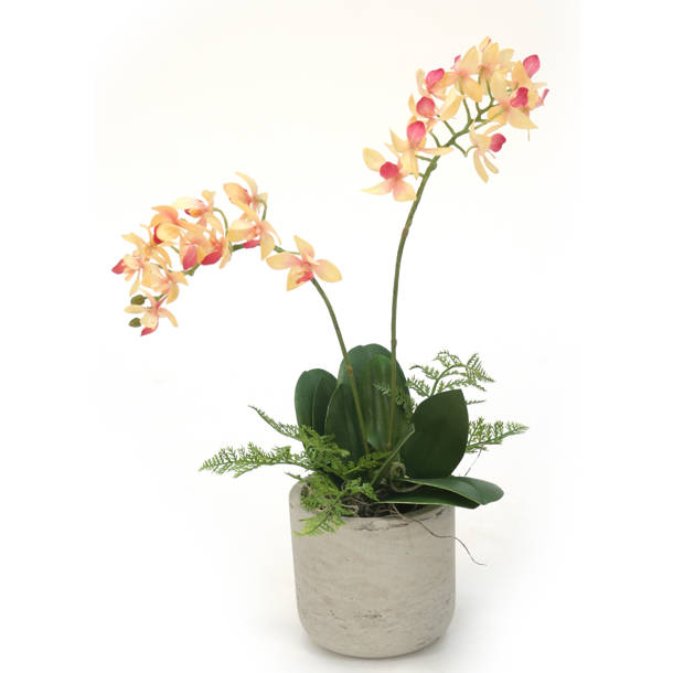 House of Hampton® Faux Peony Floral Arrangement in Vase & Reviews Wayfair